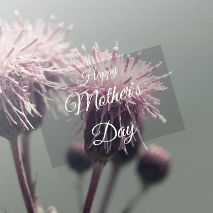 Mother's Day Flowers Postcard