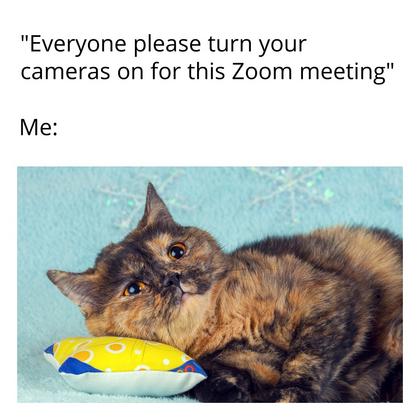 Zoom Meeting Meme