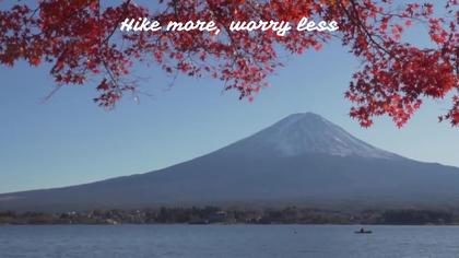 Mount Fuji Scenery